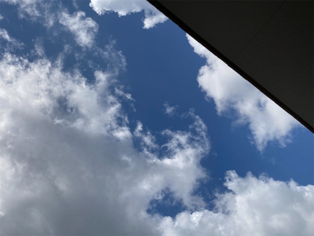 f:id:Magnoliarida:20210502101710j:image f:id:Magnoliarida:20210502101710j:image