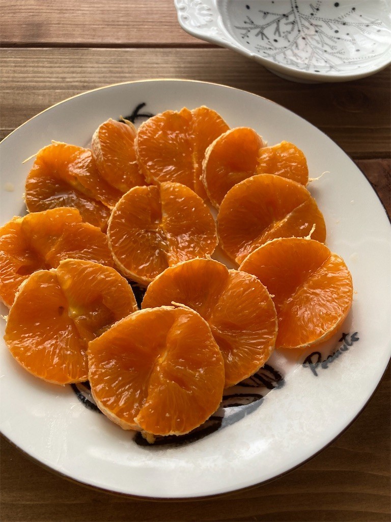 f:id:Magnoliarida:20210502110326j:image f:id:Magnoliarida:20210502110326j:image