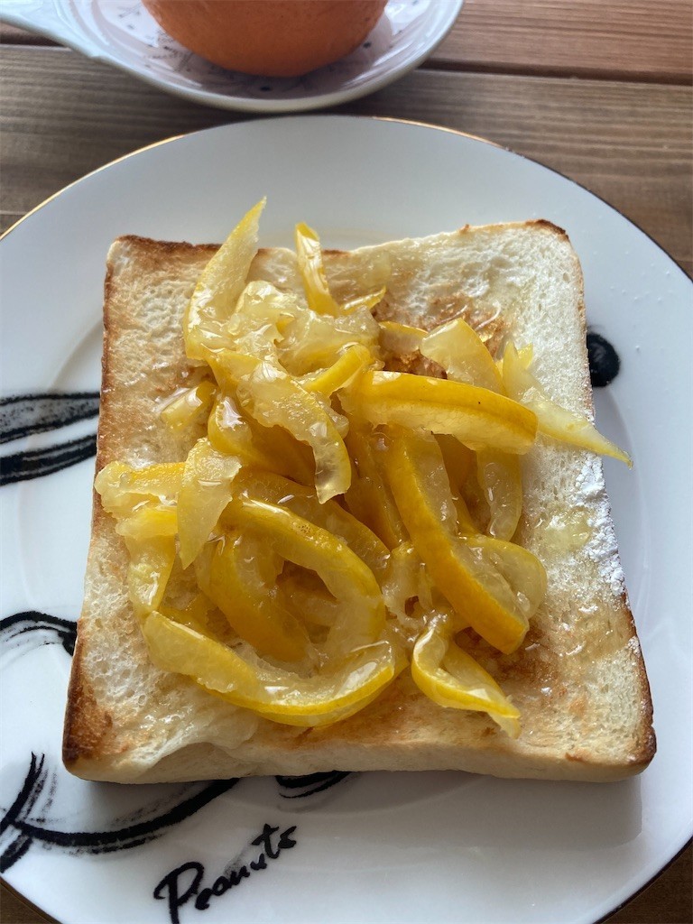 f:id:Magnoliarida:20210502110330j:image f:id:Magnoliarida:20210502110330j:image