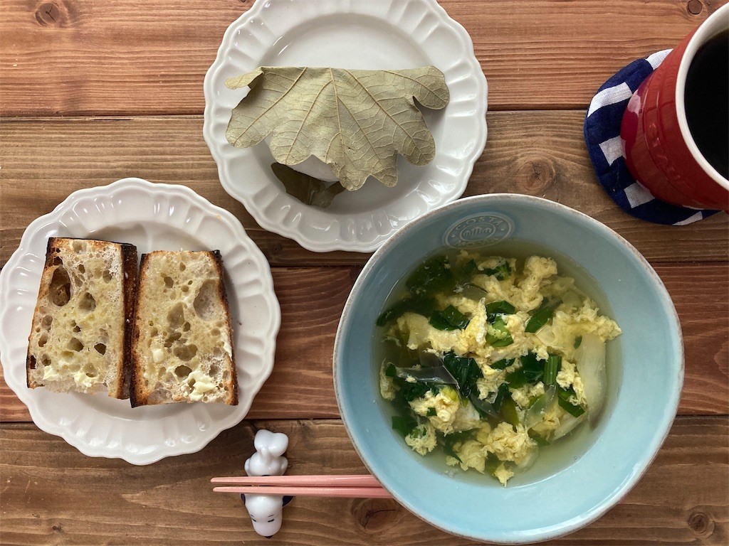 f:id:Magnoliarida:20210505101605j:image f:id:Magnoliarida:20210505101605j:image