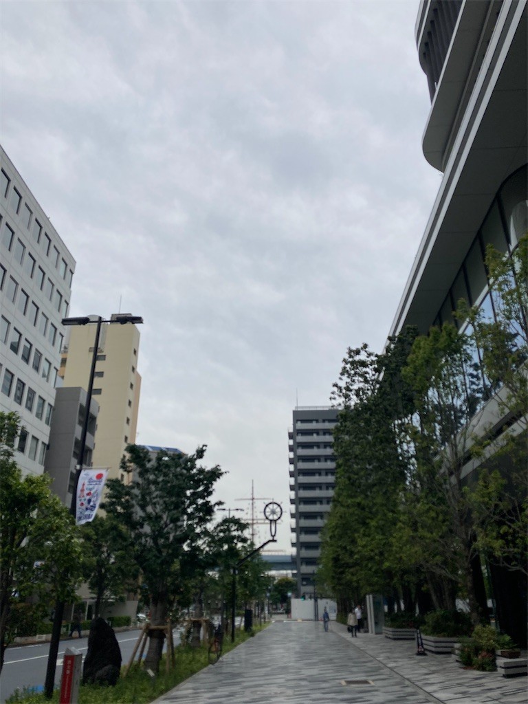 f:id:Magnoliarida:20210508215745j:image