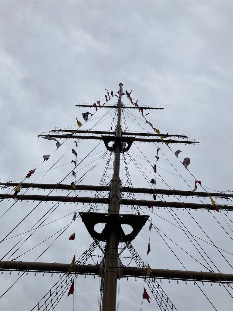 f:id:Magnoliarida:20210508215931j:image