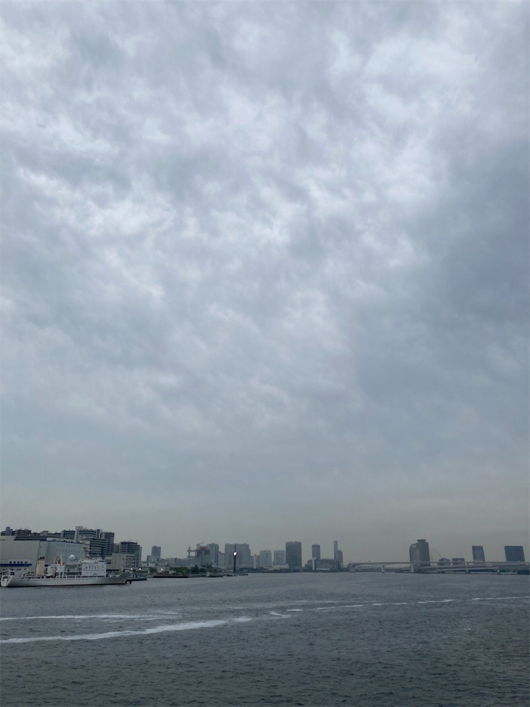 f:id:Magnoliarida:20210508220357j:image