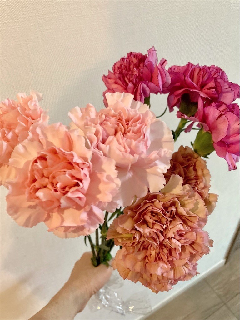 f:id:Magnoliarida:20210523221258j:image f:id:Magnoliarida:20210523221258j:image