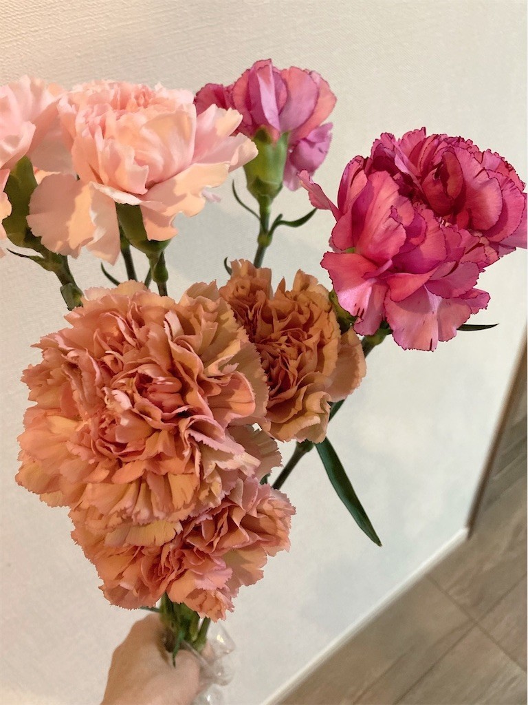 f:id:Magnoliarida:20210523221301j:image f:id:Magnoliarida:20210523221301j:image