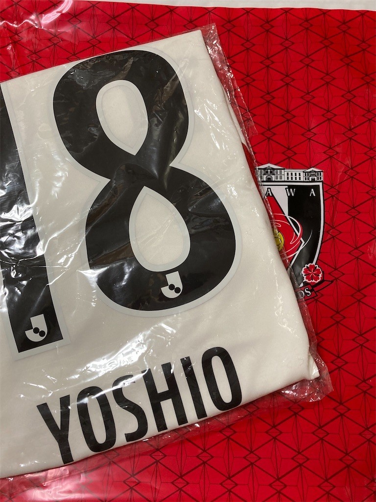 f:id:Magnoliarida:20210530210141j:image f:id:Magnoliarida:20210530210141j:image