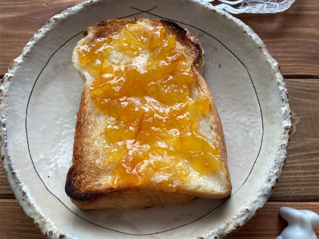 f:id:Magnoliarida:20210531083422j:image