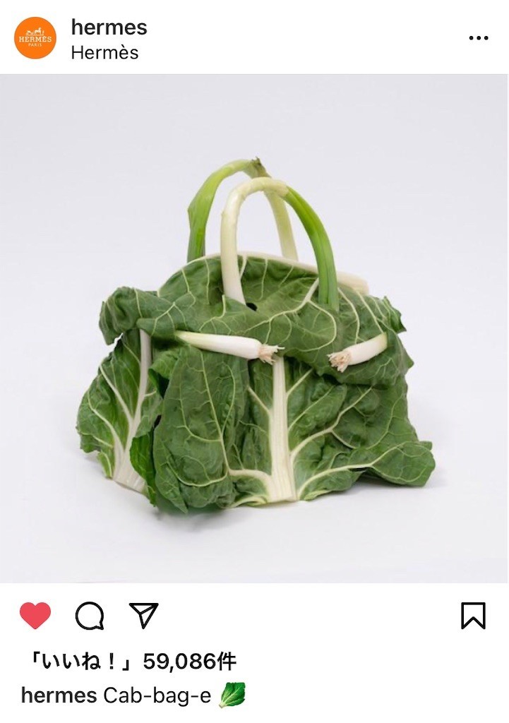 f:id:Magnoliarida:20210531155532j:image