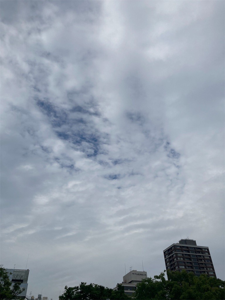 f:id:Magnoliarida:20210605210230j:image