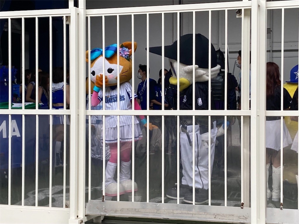 f:id:Magnoliarida:20210605210356j:image