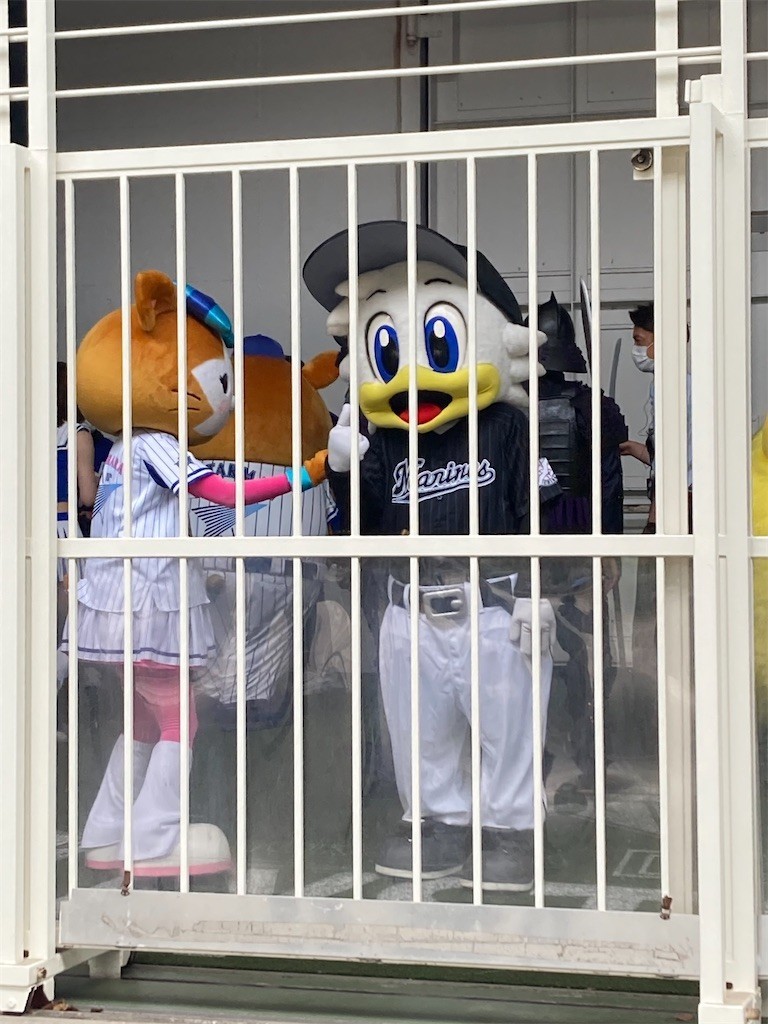 f:id:Magnoliarida:20210605210423j:image