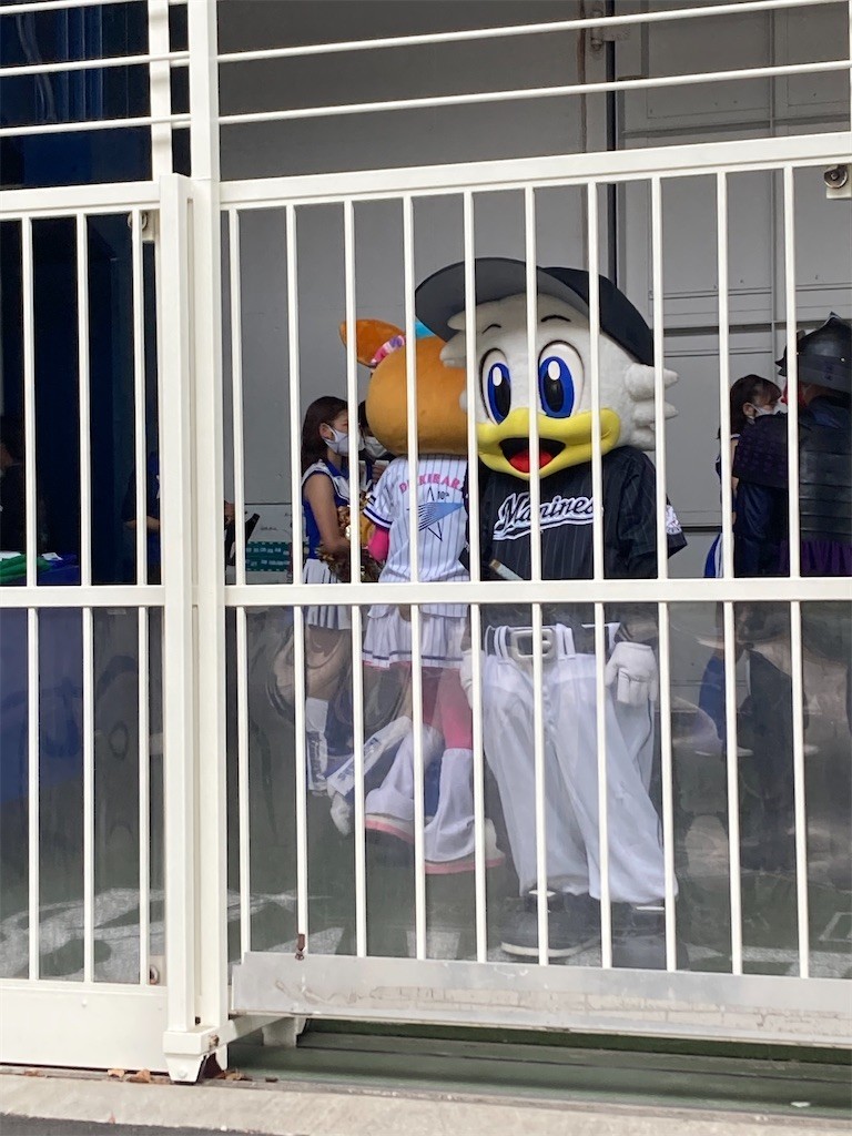 f:id:Magnoliarida:20210605210617j:image