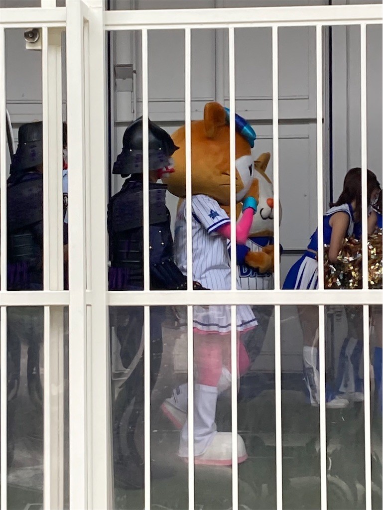 f:id:Magnoliarida:20210605210622j:image