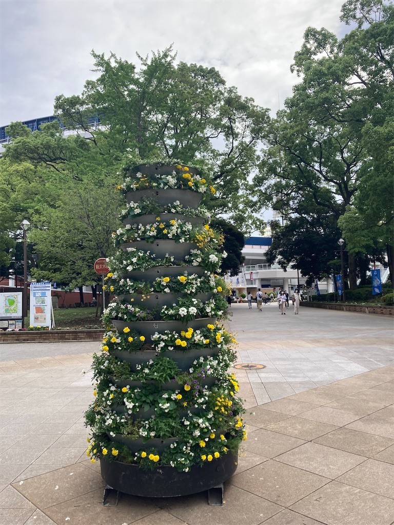 f:id:Magnoliarida:20210605210829j:image