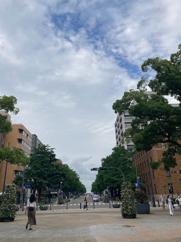 f:id:Magnoliarida:20210605210833j:image