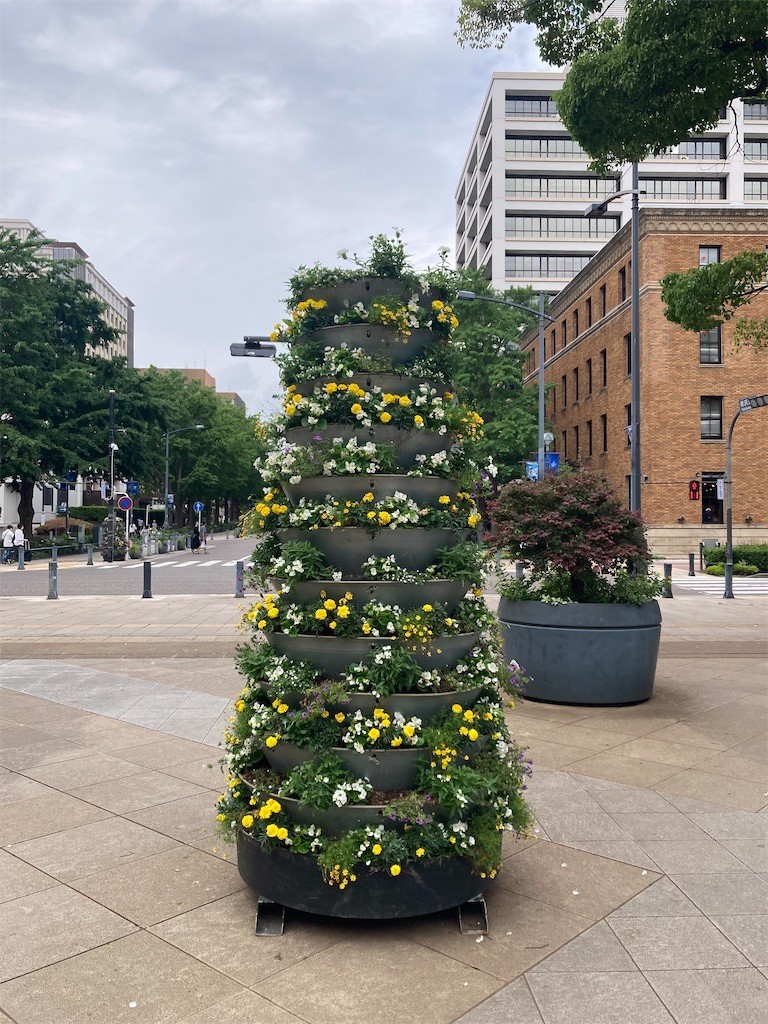 f:id:Magnoliarida:20210605210843j:image