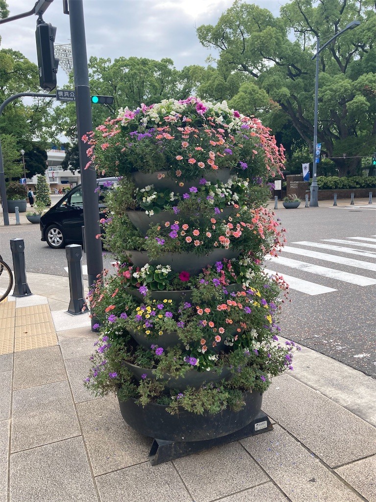 f:id:Magnoliarida:20210605210848j:image