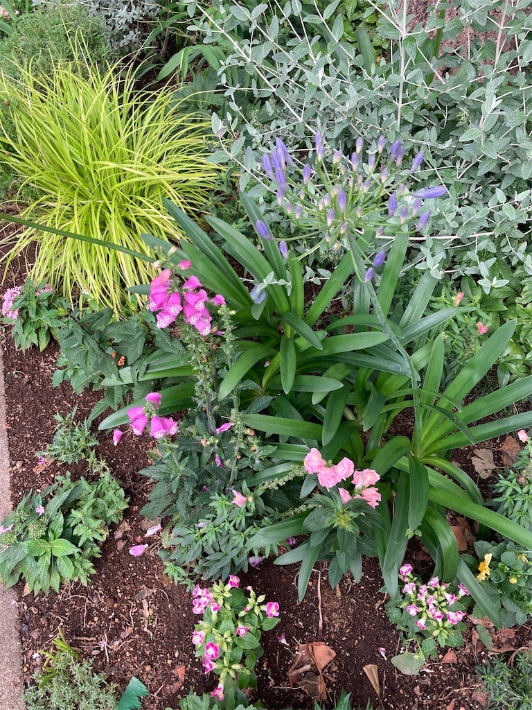 f:id:Magnoliarida:20210605211110j:image