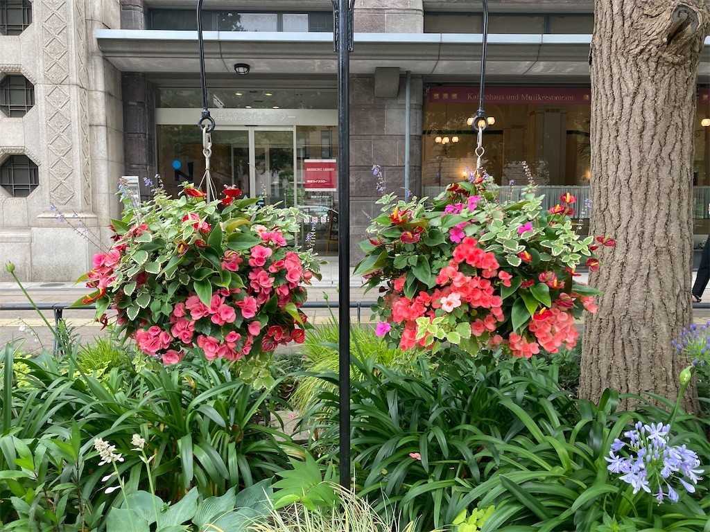 f:id:Magnoliarida:20210605211206j:image