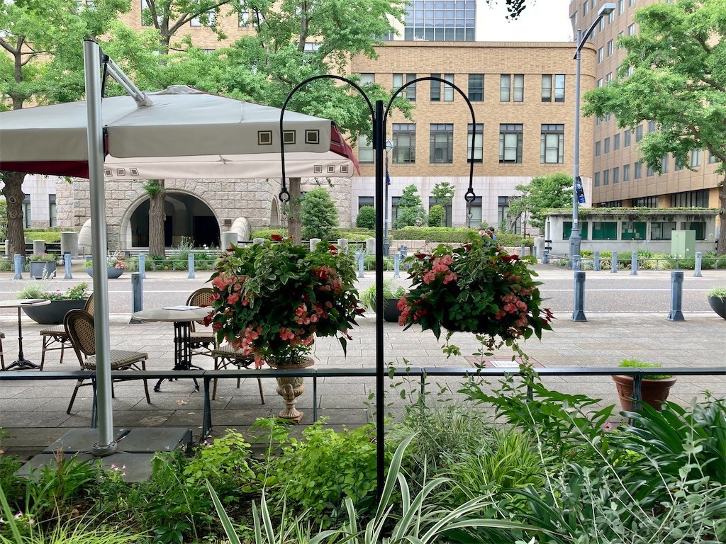 f:id:Magnoliarida:20210605211212j:image