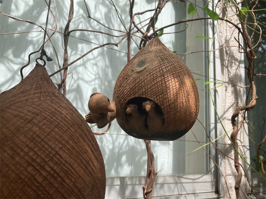 f:id:Magnoliarida:20210607171135j:image f:id:Magnoliarida:20210607171135j:image