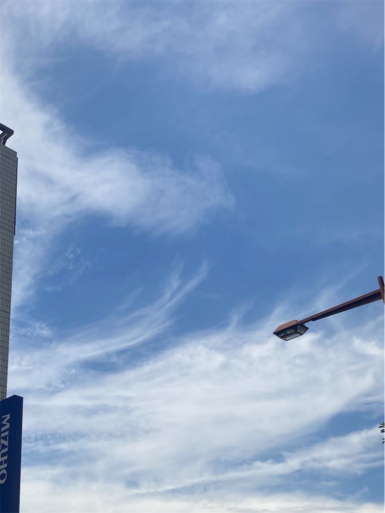 f:id:Magnoliarida:20210607171138j:image f:id:Magnoliarida:20210607171138j:image