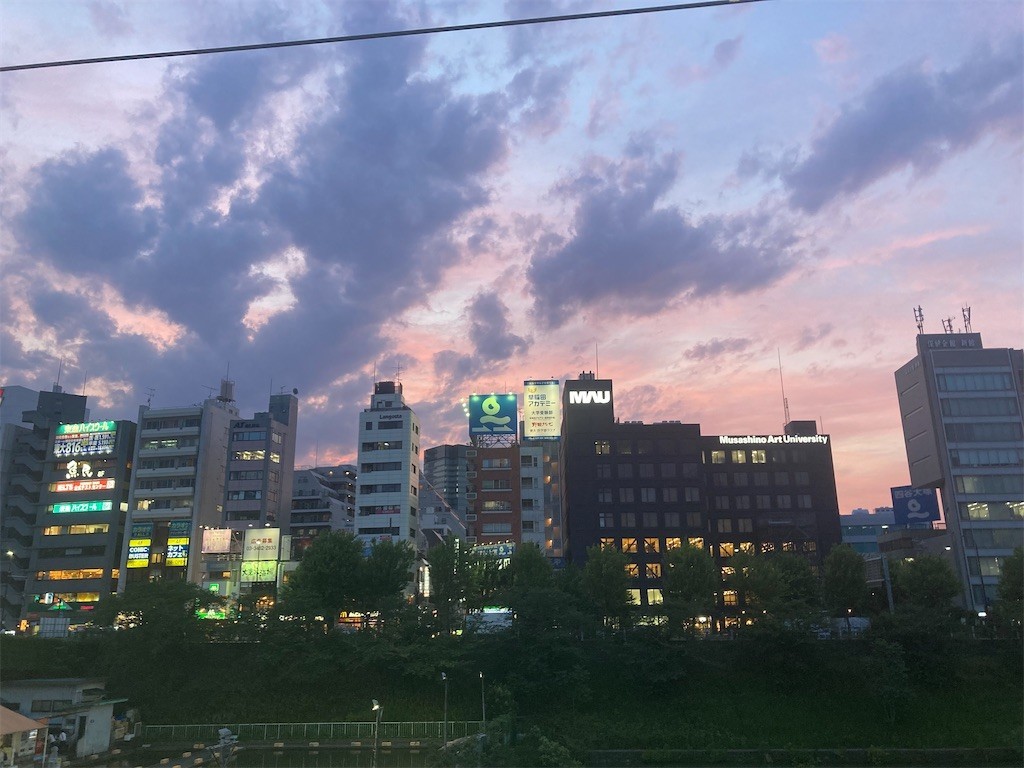 f:id:Magnoliarida:20210607193212j:image f:id:Magnoliarida:20210607193212j:image