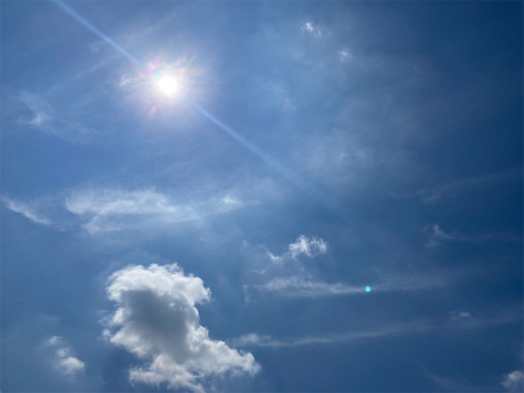 f:id:Magnoliarida:20210618095601j:image