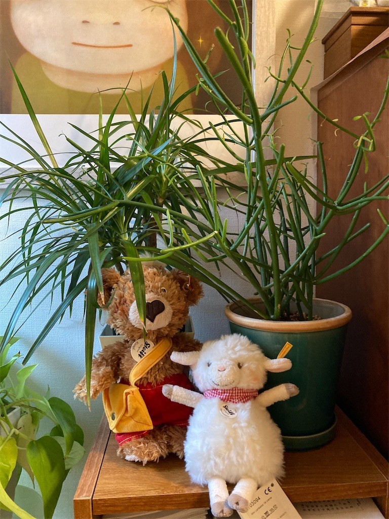 f:id:Magnoliarida:20210630154439j:image