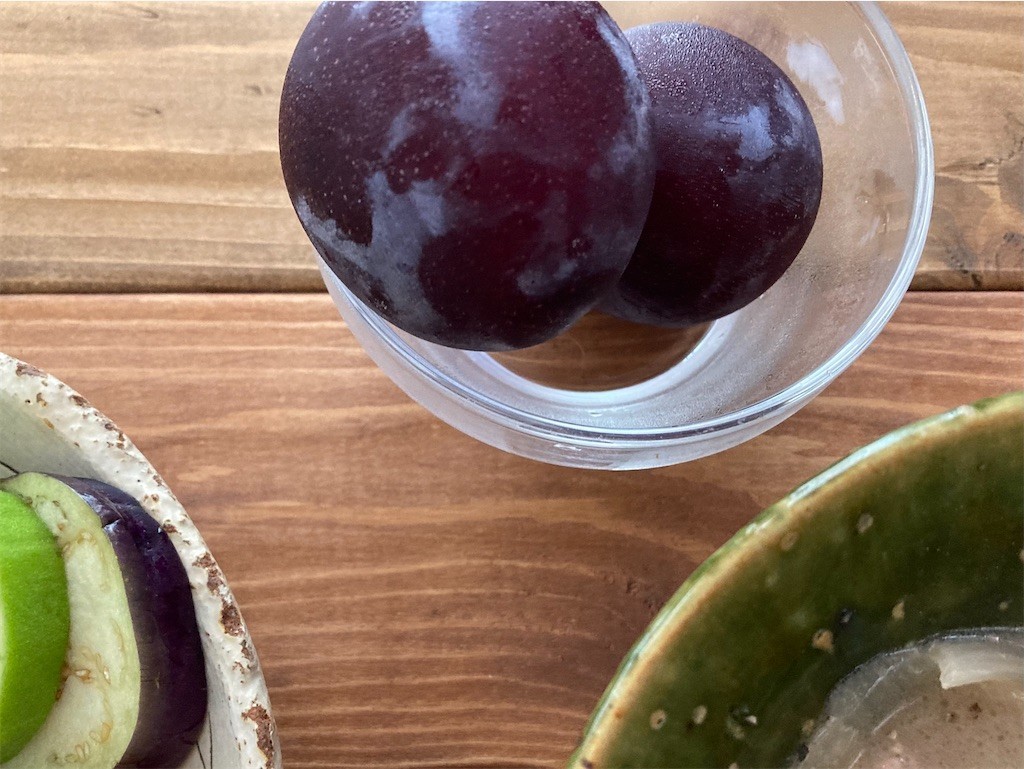 f:id:Magnoliarida:20210705074039j:image f:id:Magnoliarida:20210705074039j:image