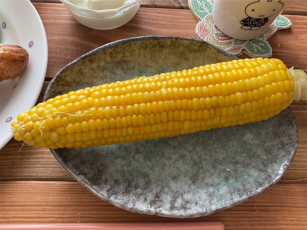 f:id:Magnoliarida:20210716092353j:image