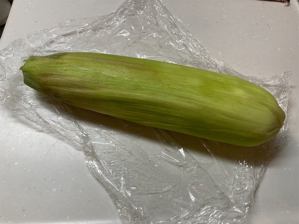 f:id:Magnoliarida:20210716092519j:image