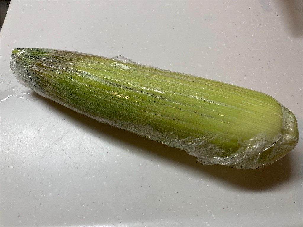 f:id:Magnoliarida:20210716092522j:image