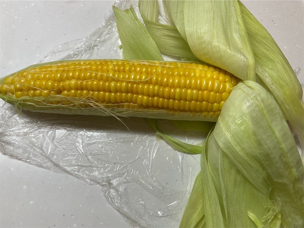 f:id:Magnoliarida:20210716092535j:image