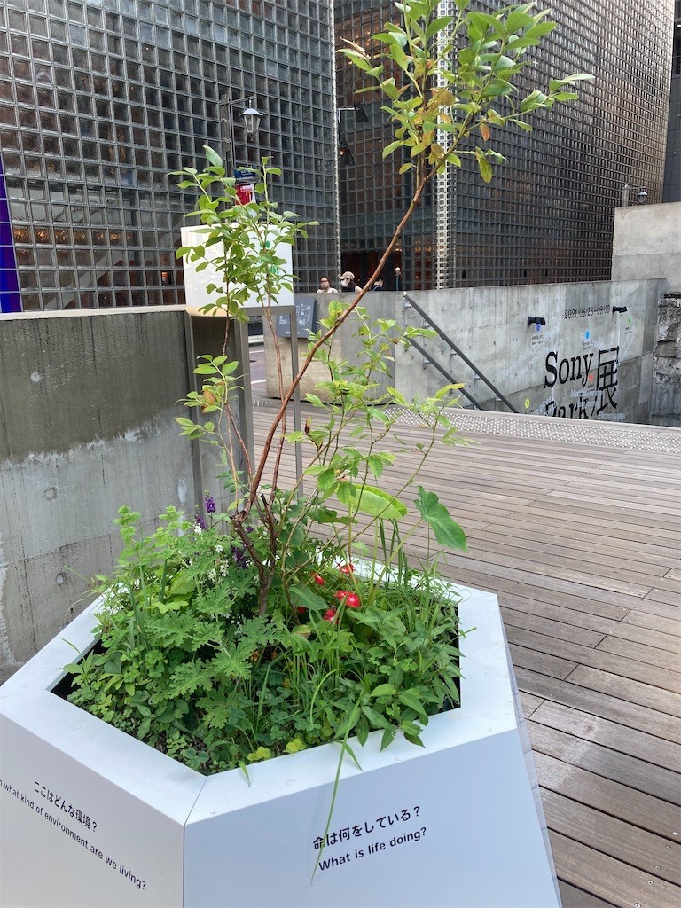 f:id:Magnoliarida:20210731234729j:image