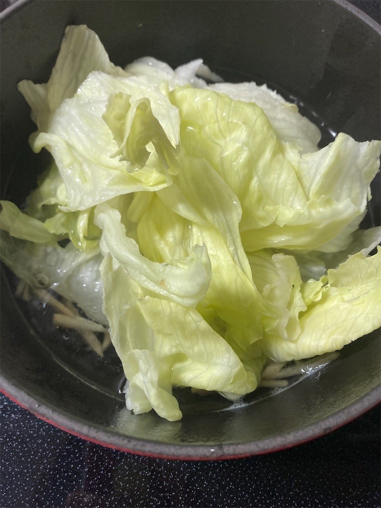 f:id:Magnoliarida:20210820092320j:image