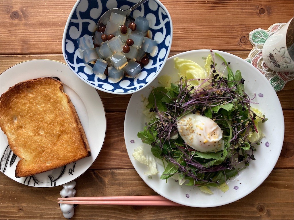 f:id:Magnoliarida:20210822104656j:image f:id:Magnoliarida:20210822104656j:image