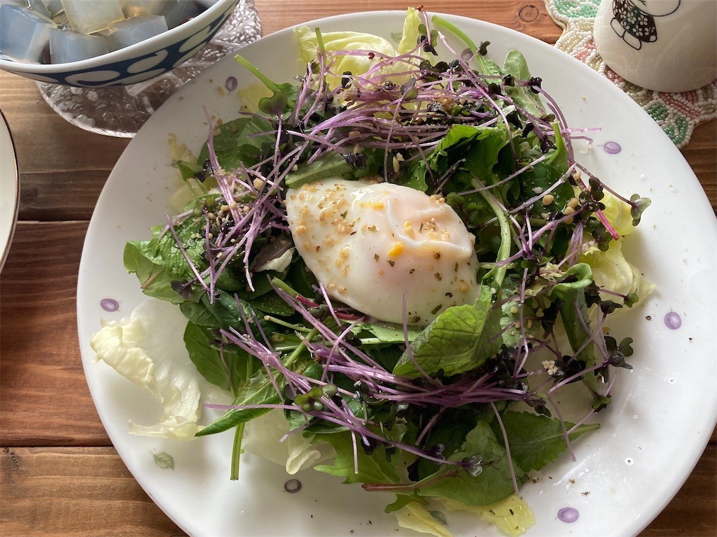 f:id:Magnoliarida:20210822104707j:image f:id:Magnoliarida:20210822104707j:image