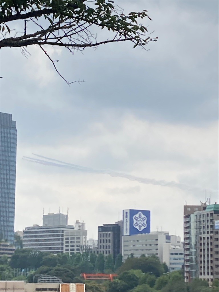 f:id:Magnoliarida:20210824145306j:image