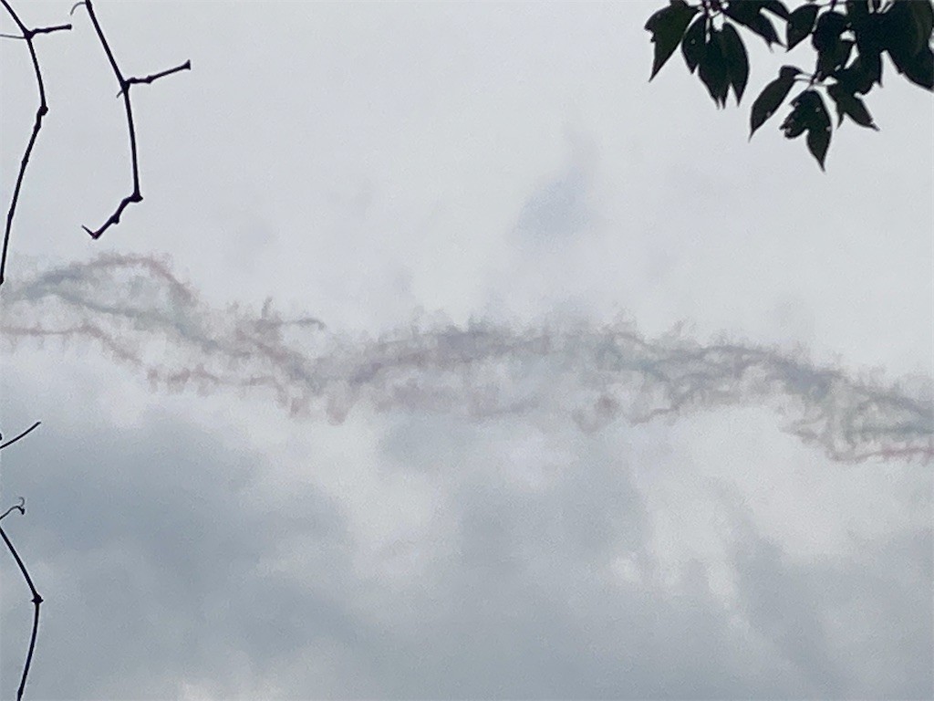 f:id:Magnoliarida:20210824145325j:image