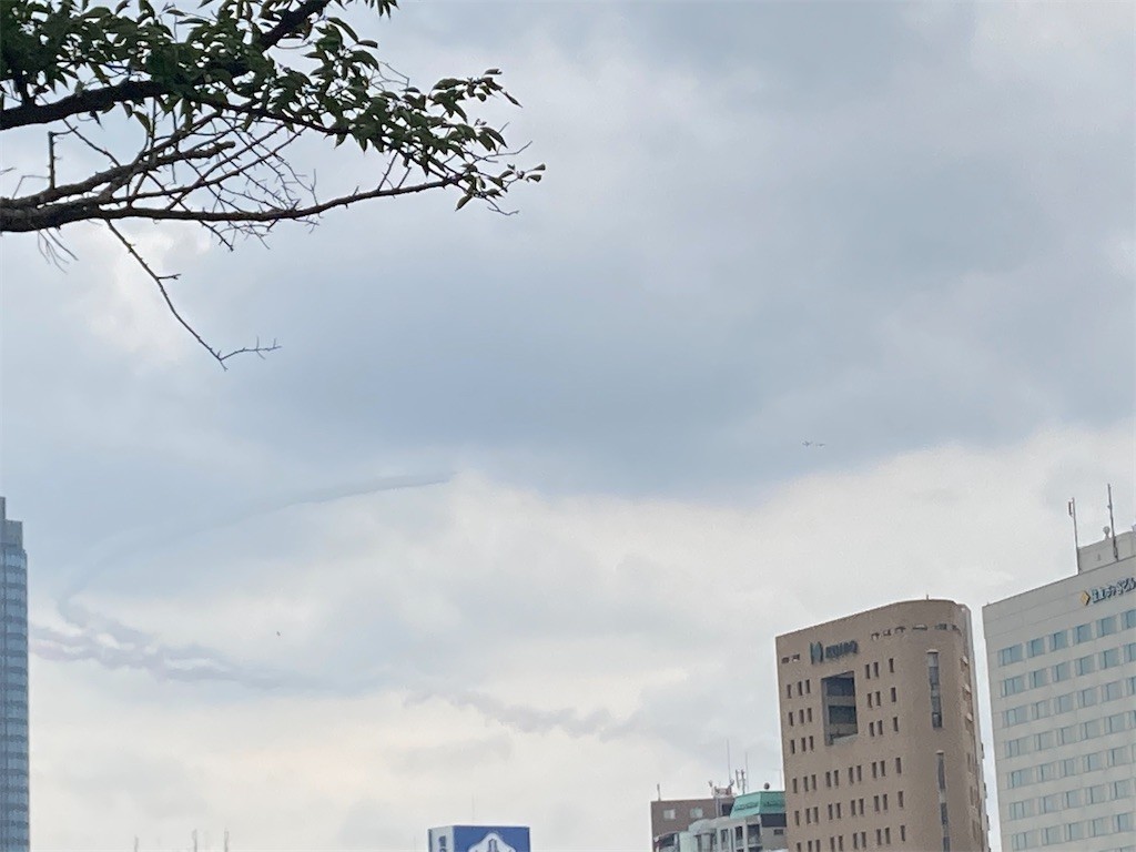 f:id:Magnoliarida:20210824145331j:image