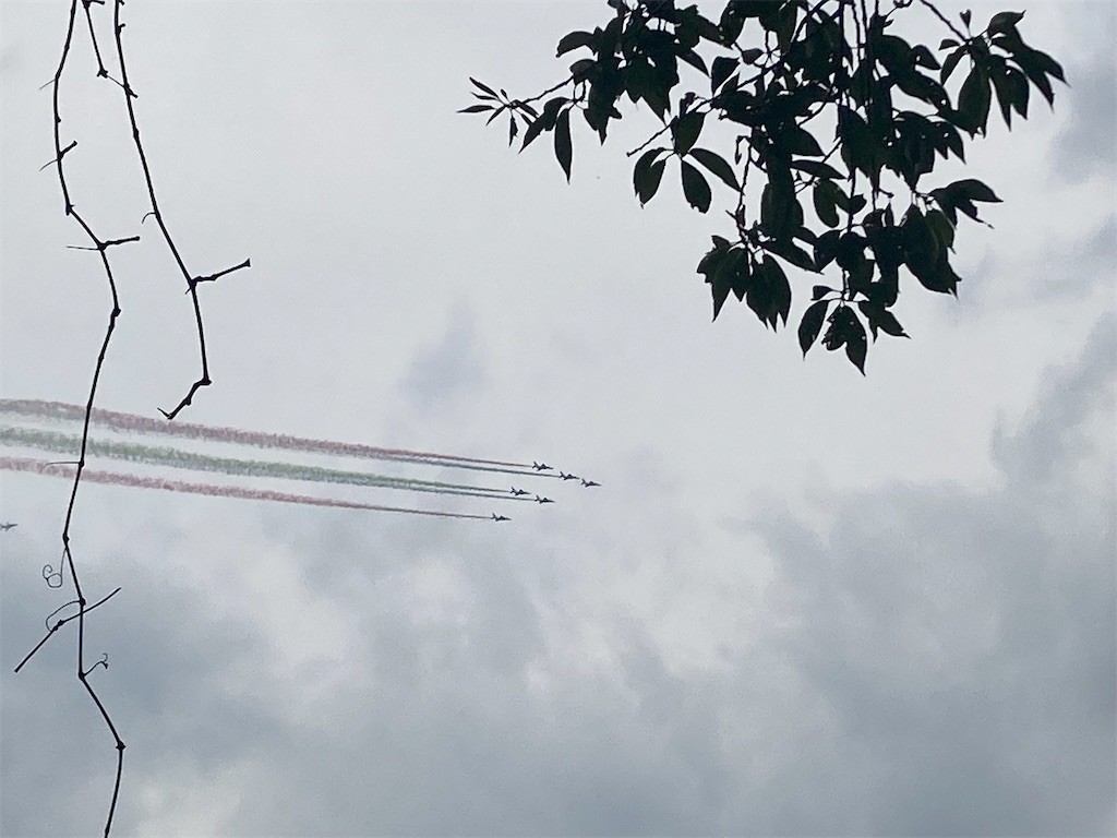 f:id:Magnoliarida:20210824145335j:image