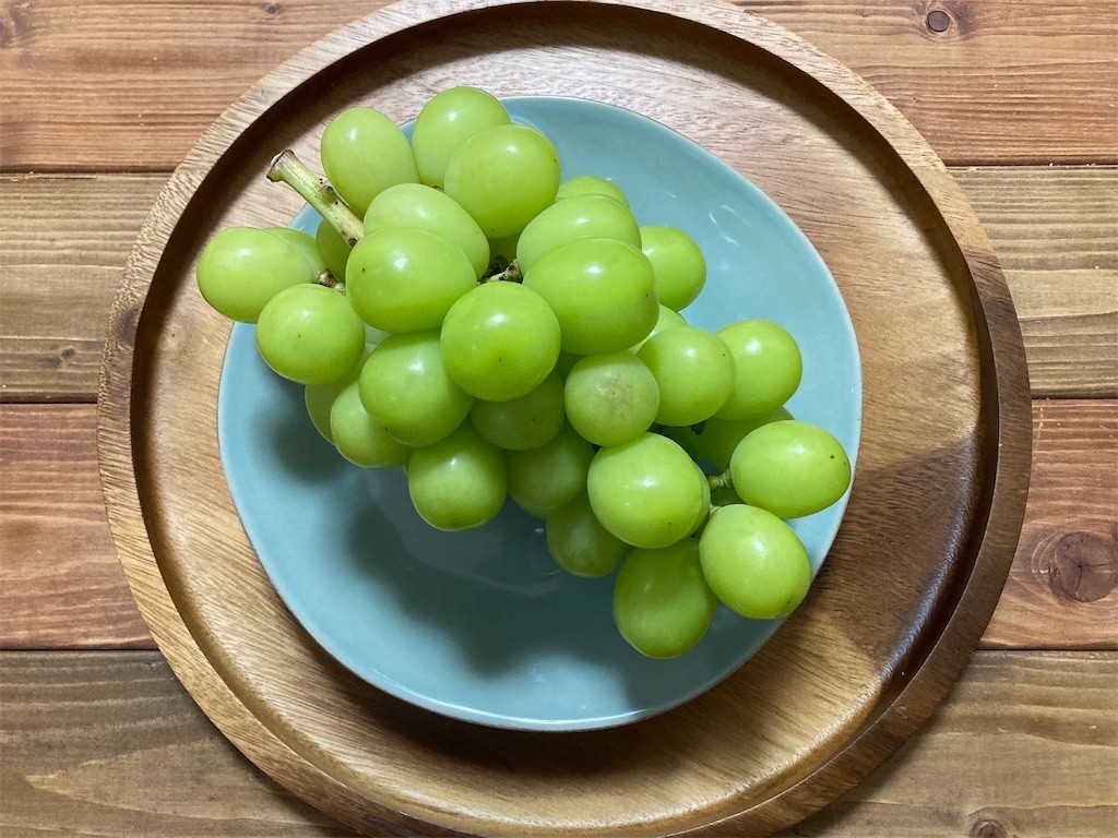 f:id:Magnoliarida:20210904002049j:image f:id:Magnoliarida:20210904002049j:image