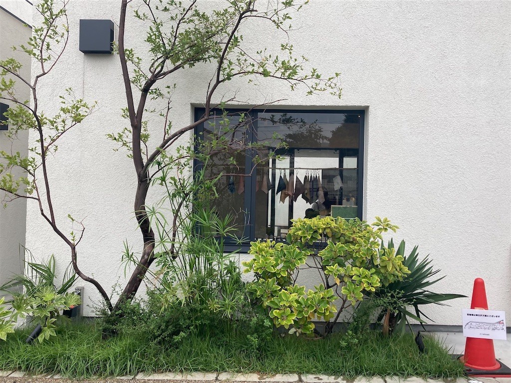 f:id:Magnoliarida:20210904002246j:image f:id:Magnoliarida:20210904002246j:image