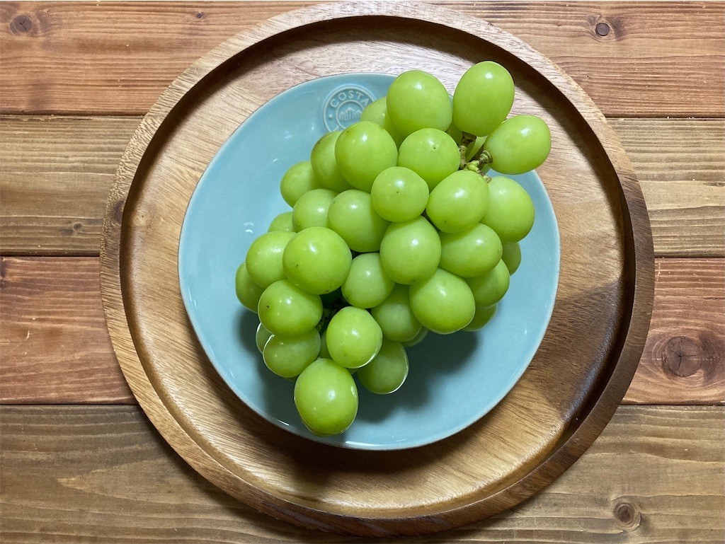 f:id:Magnoliarida:20210904010303j:image f:id:Magnoliarida:20210904010303j:image