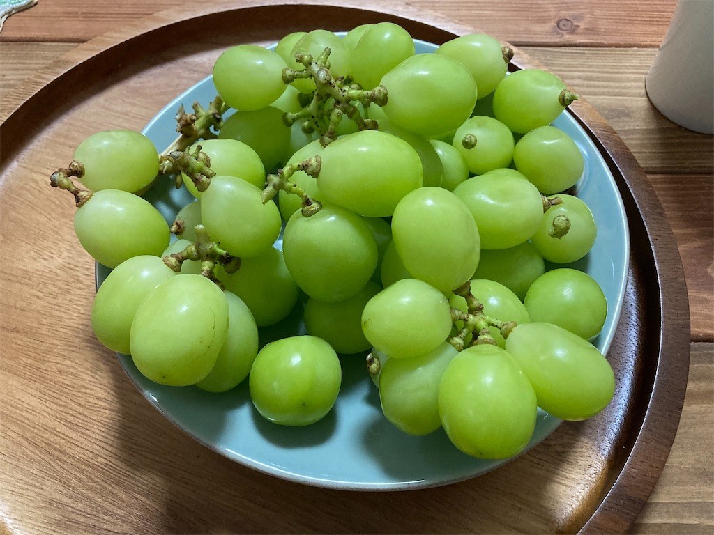 f:id:Magnoliarida:20210904012254j:image f:id:Magnoliarida:20210904012254j:image