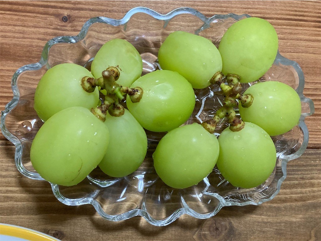 f:id:Magnoliarida:20210904095134j:image