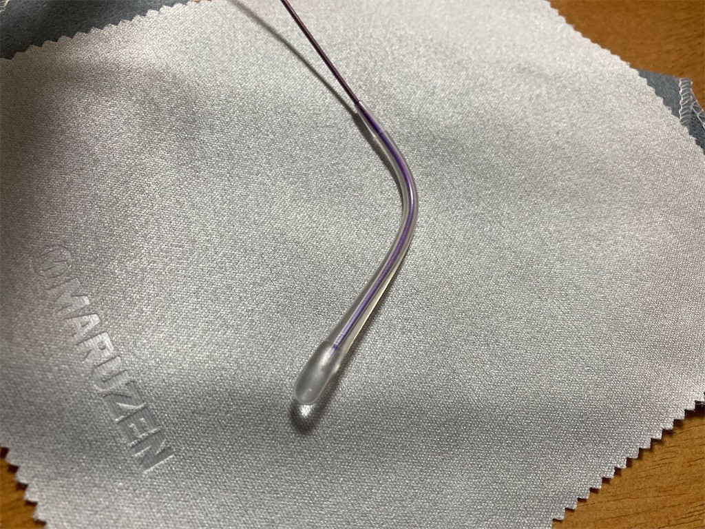 f:id:Magnoliarida:20210908215053j:image