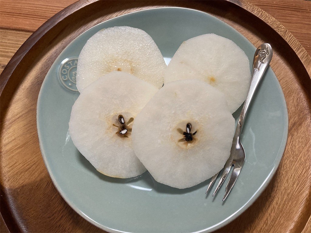 f:id:Magnoliarida:20210911141137j:image f:id:Magnoliarida:20210911141137j:image