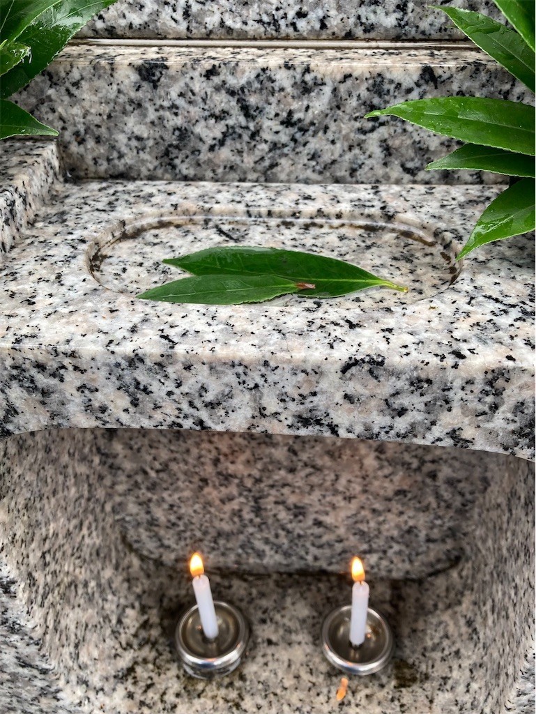 f:id:Magnoliarida:20210912202908j:image